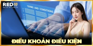Điều Khoản Điều Kiện