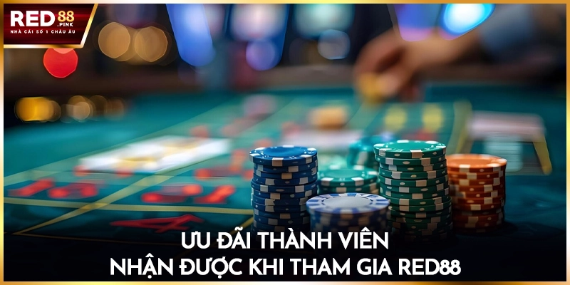 Ưu đãi thành viên nhận được khi tham gia Red88
